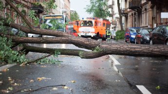 Wiederaufbauhilfe zur Beseitigung von Infrastrukturschäden in Folge des Sturmtiefs Emmelinde 